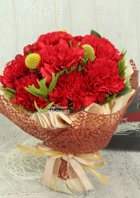Mother´s Day imported Carnation,World Best Mother