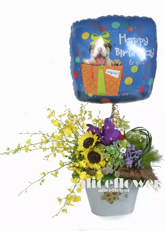 Happy Birthday Flowers,Sunny Party