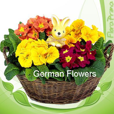 德國,花卉綠植小品
