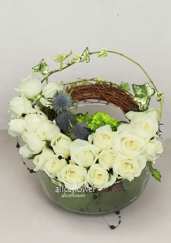 精緻盆花設計,圓夢白玫瑰盆花