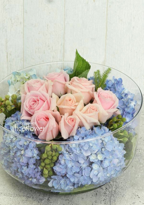 Hydrangea,Blooming Pink Roses