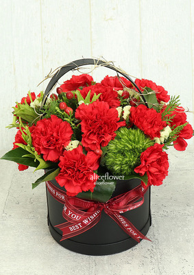 母親節康乃馨花束-進口康乃馨,暖馨寶貝紅色康乃馨盆花