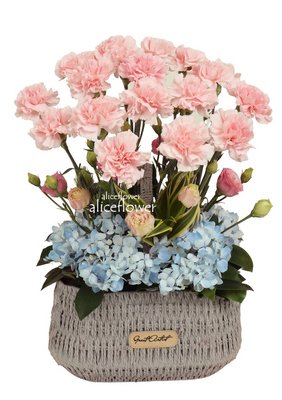 Mother´s Day Imported Carnation Arrangement,May Delight