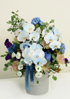 Job Promotion Flowers,White spirit