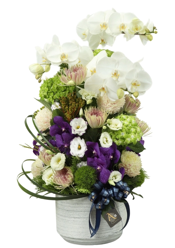 Autumn Flowers Arranged,spring song