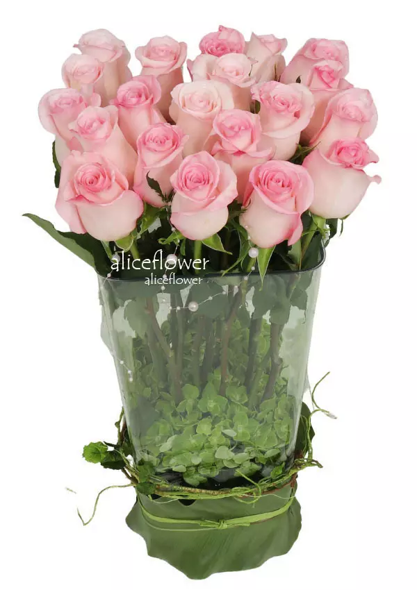 進口大朵玫瑰瓶裝花,翡翠佳人粉玫盆花