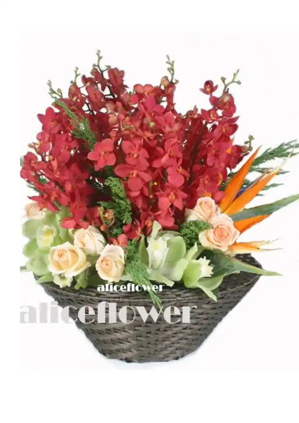 @[Lunar New Year Flower Arranged],Happiness Praise