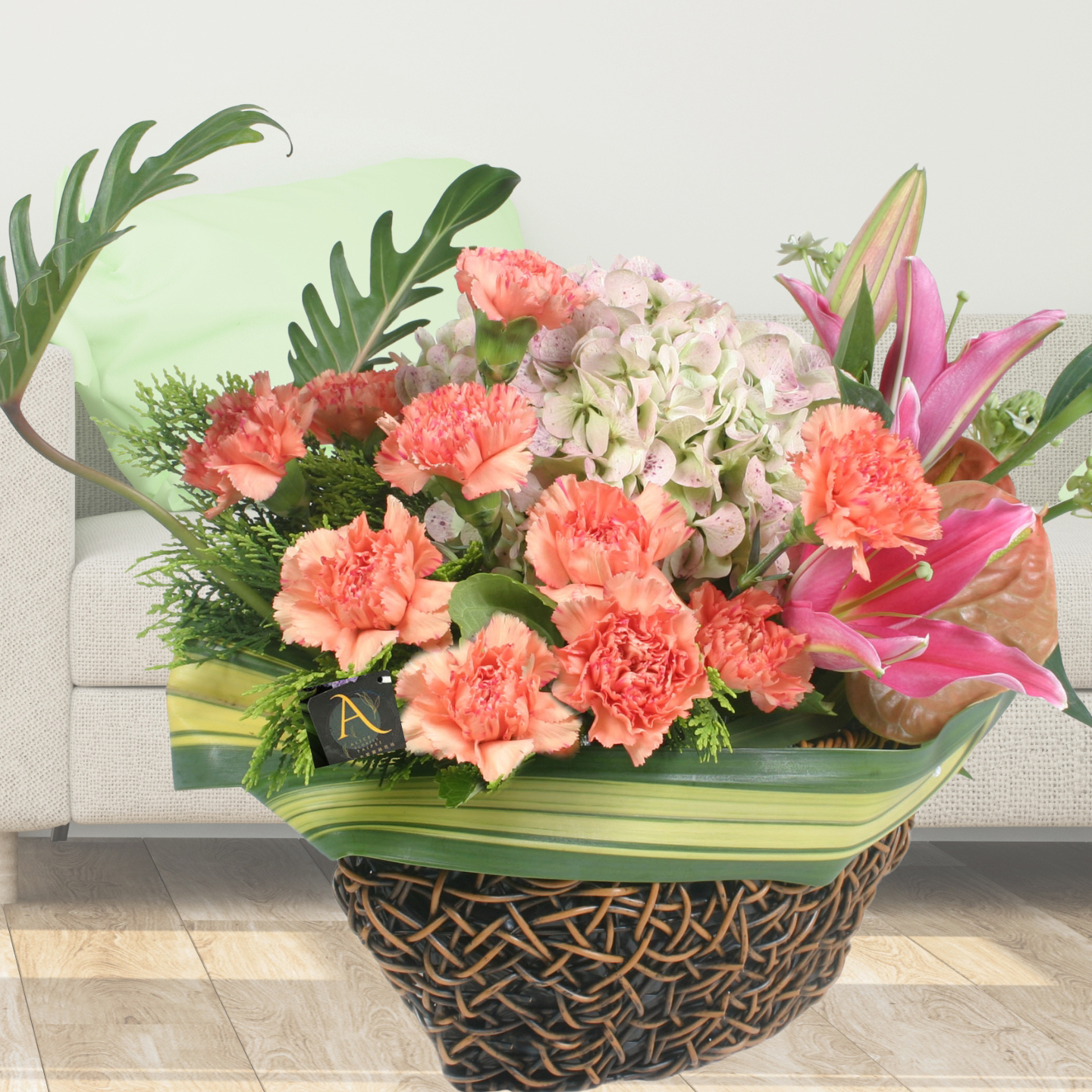 Mother´s Day imported Carnation,Warm Season