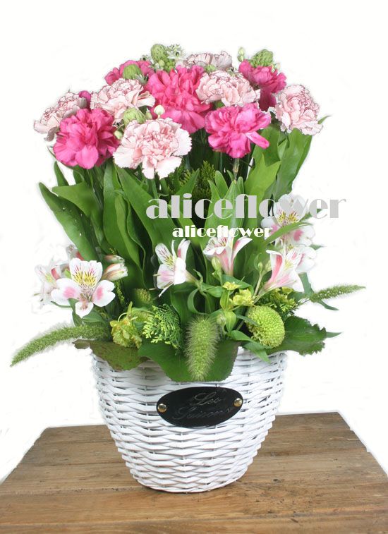 Mother´s Day Imported Carnation Arrangement,Precious Heart