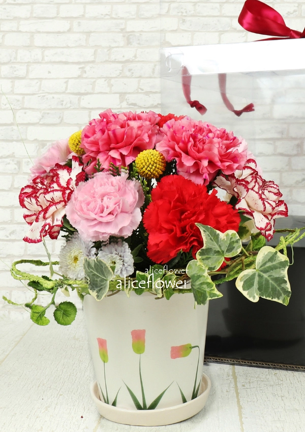 @[Mother´s Day imported Carnation],Precious Heart