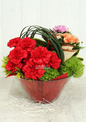 Mother´s Day imported Carnation,Love so complete