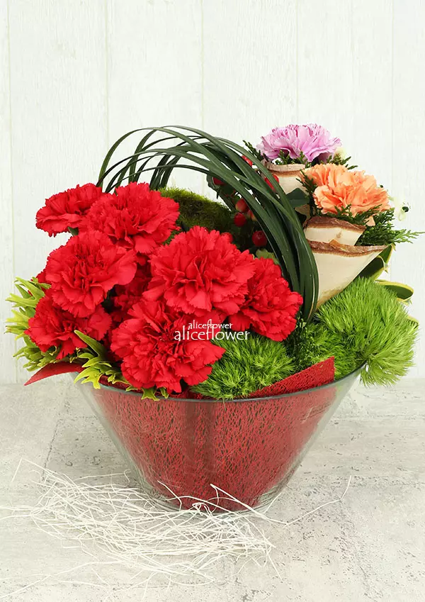 @[Mother´s Day imported Carnation],Love so complete
