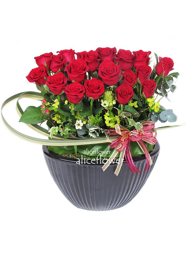 Roses Bouquet,Xmas Jingle Bells