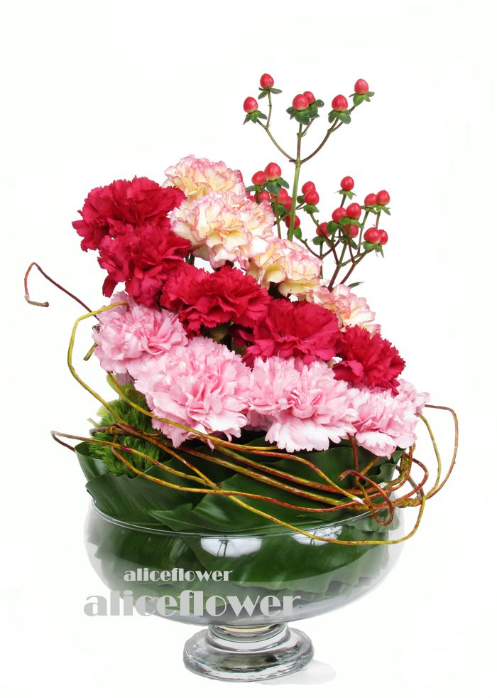 母親節康乃馨花束-進口康乃馨,花漾甜馨紅色康乃馨盆花