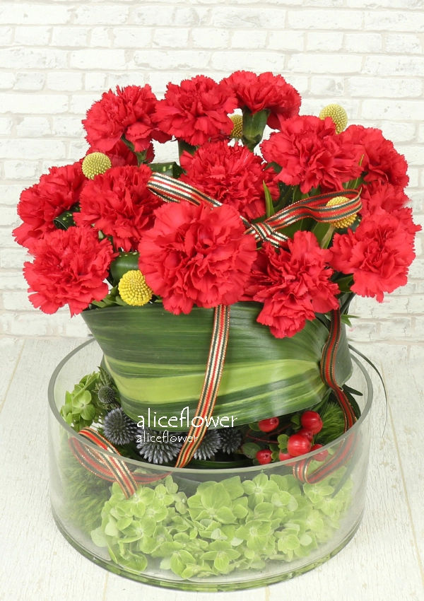精緻盆花設計,花漾甜馨紅色康乃馨盆花