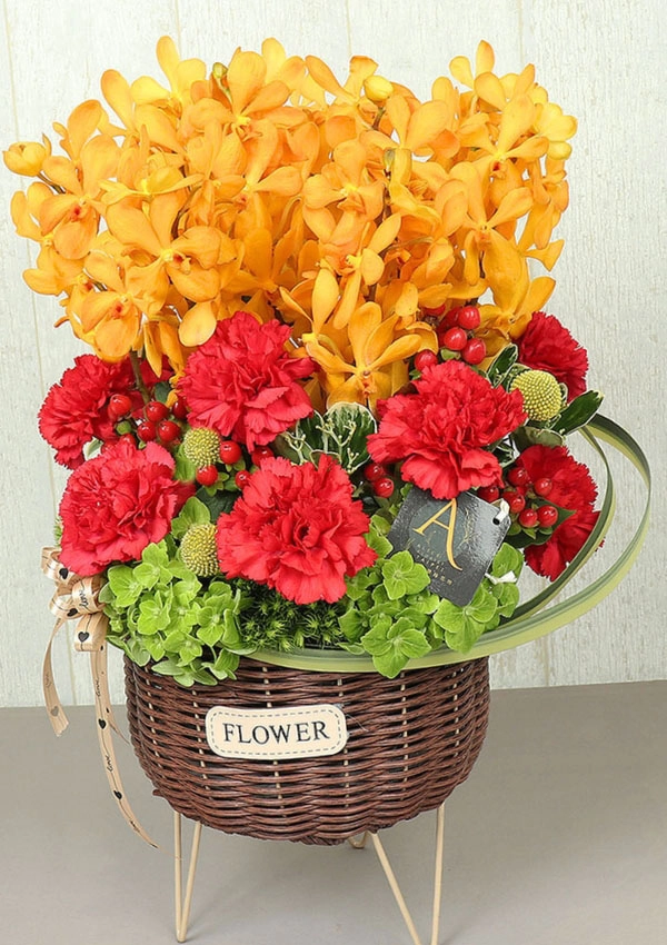 母親節進口康乃馨盆花,頌讚慈輝紅康乃馨盆花