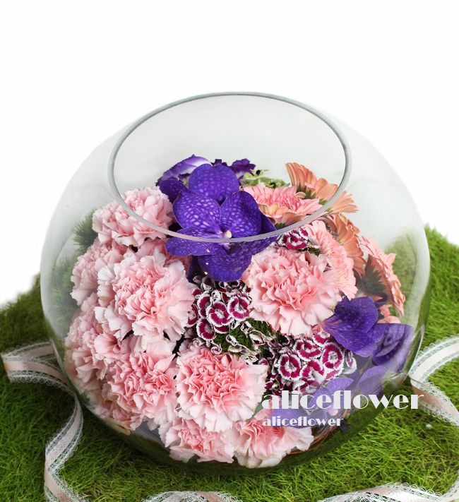 Floral Arranged,Dreamland Pink