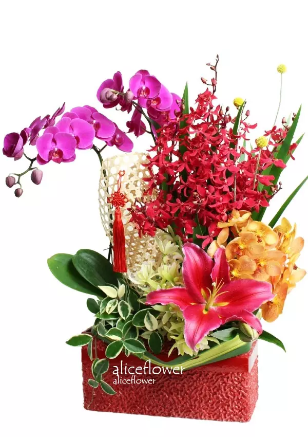 @[Lunar New Year Flower Arranged],Propitious Phoenix