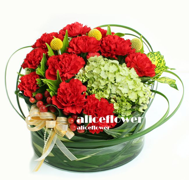 母親節康乃馨花束-進口康乃馨,馨情恩溢紅色康乃馨盆花