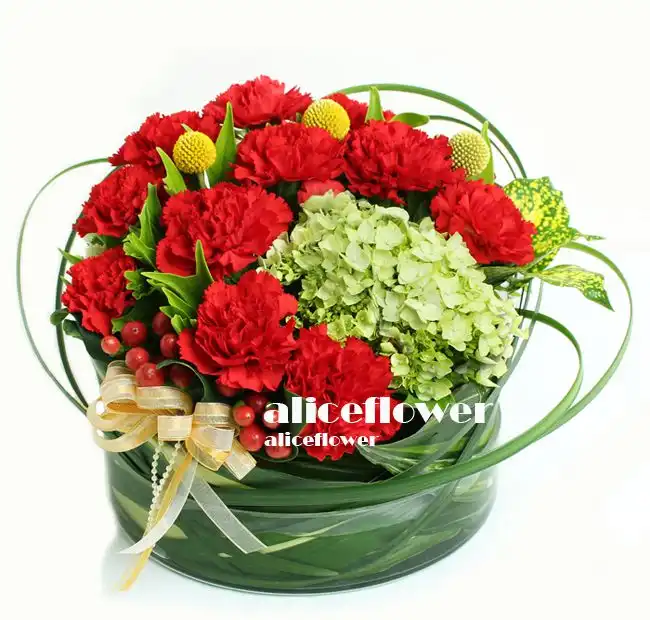 母親節康乃馨花束-進口康乃馨,馨情恩溢紅色康乃馨盆花
