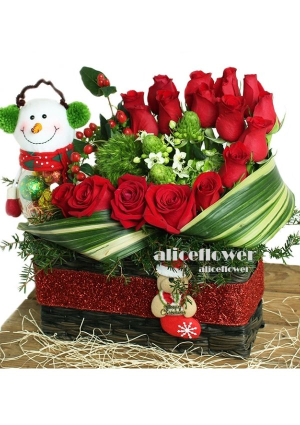 玫瑰盆花,雪之寶貝紅玫瑰盆花