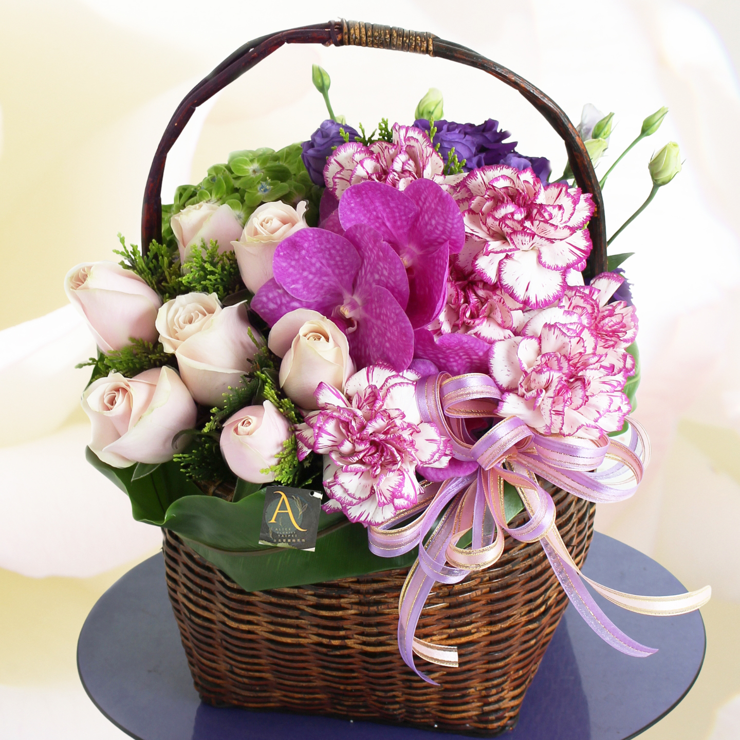 母親節進口康乃馨盆花,德雷莎之愛粉雙色康乃馨盆花