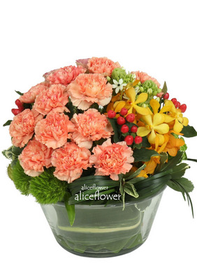 Mother´s Day Imported Carnation Arrangement,Mother full of love