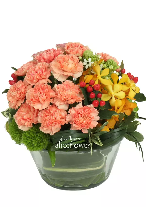 Mother´s Day Imported Carnation Arrangement,Mother full of love