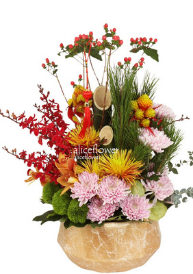 Chinese New Year Flowers,Luck holidays