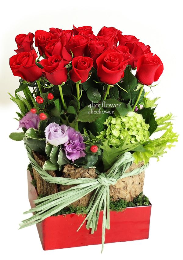 精緻盆花設計,雪映紅梅紅玫瑰盆花