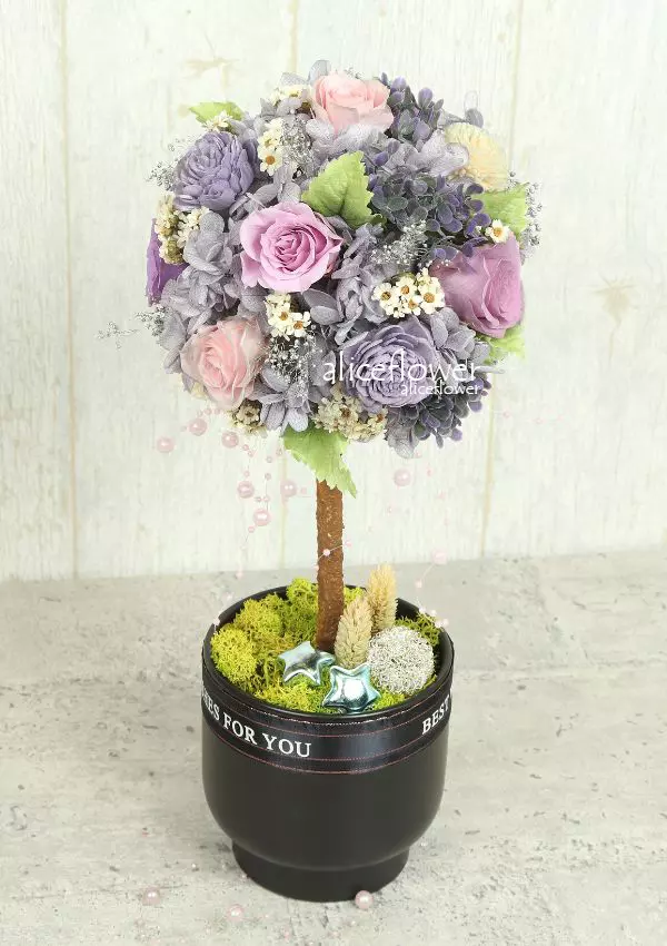 生日盆花,紫羅蘭夢境*永生粉紫色玫瑰盆花