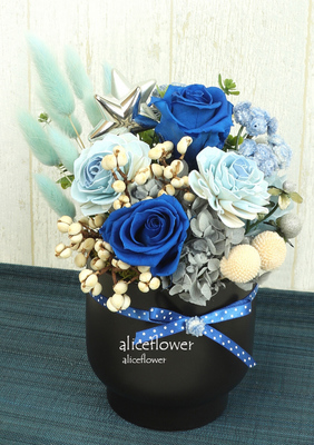 Bouquet in a Box,Blue Acacia