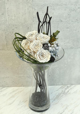 玫瑰盆花,銀色絮語*永生鑲黑邊白玫瑰