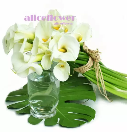 @[Bouquet in Vase],White Lover Calla Lily