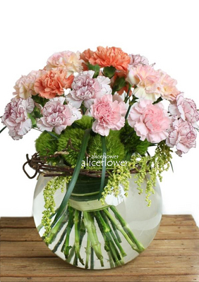 瓶裝花,馨漾花園雙色康乃馨瓶裝花