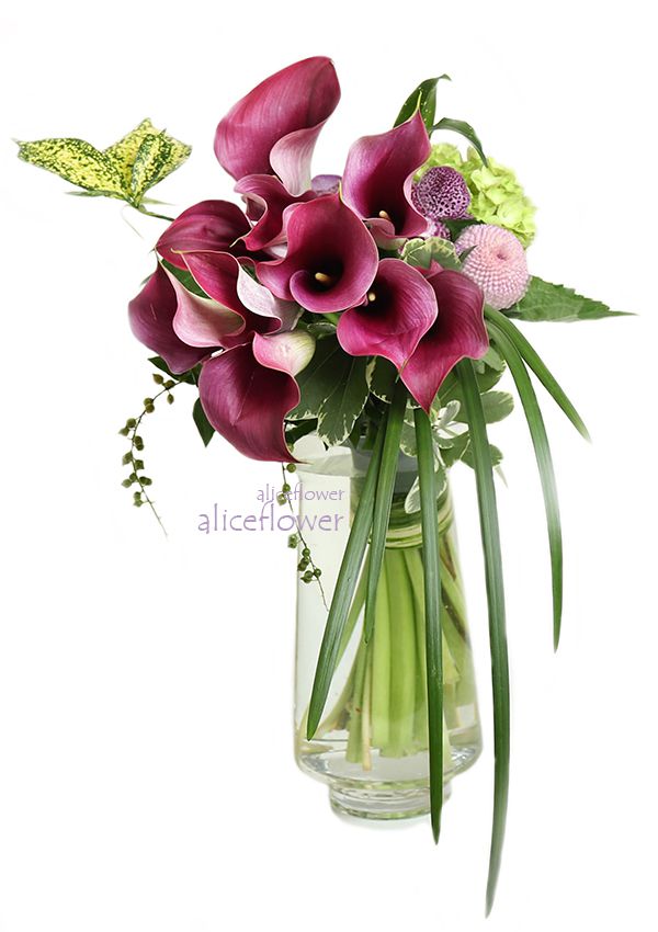 Hand wrapped bouquet,Olympus red calla lily