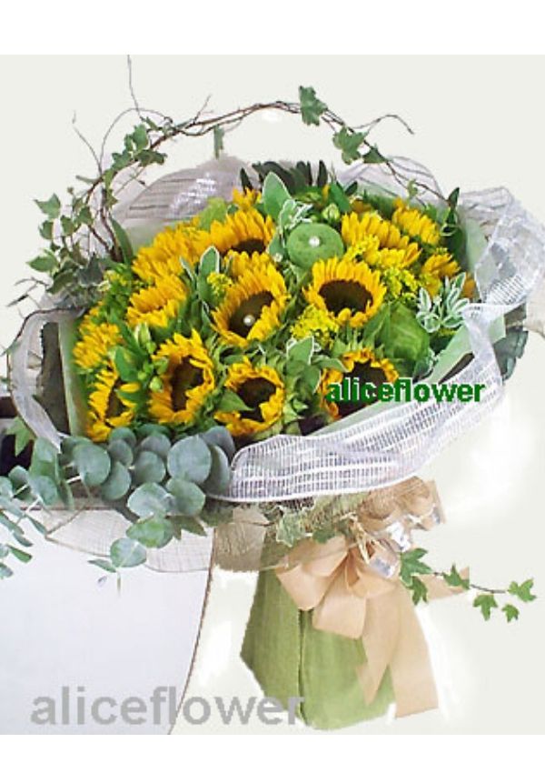Hand wrapped bouquet,Sunshine blooming