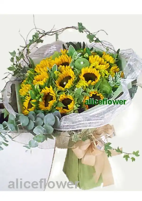 @[Happy Birthday Flowers],Sunshine blooming