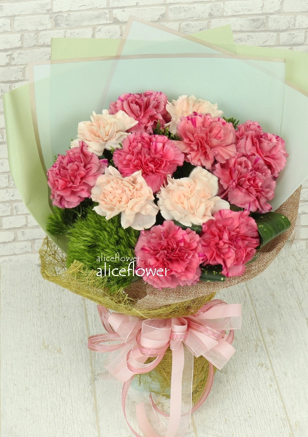 @[Mother´s Day Imported Carnation Bouquet],Mothers Embrace