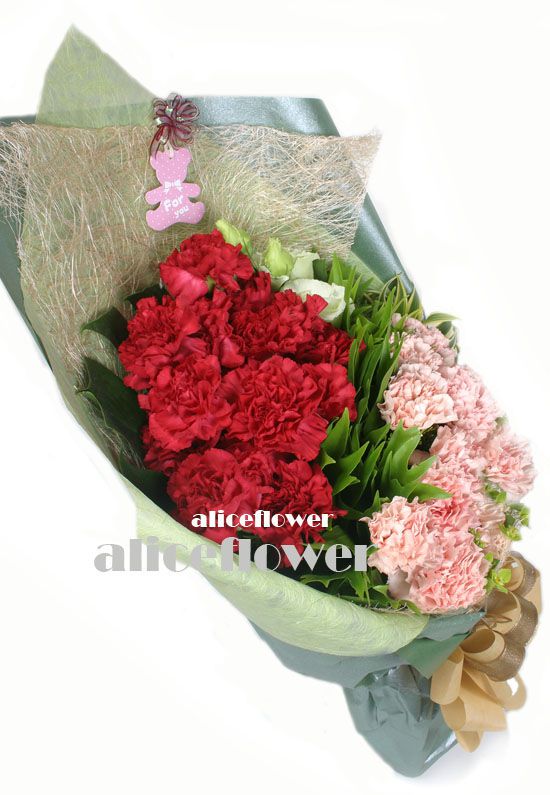 母親節康乃馨花束-進口康乃馨,花馨情深紅色康乃馨花束