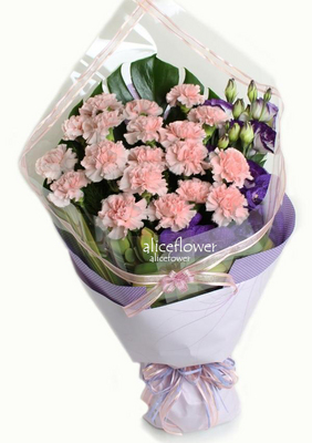 Mother´s Day Imported Carnation Bouquet,Sweetness Carnation