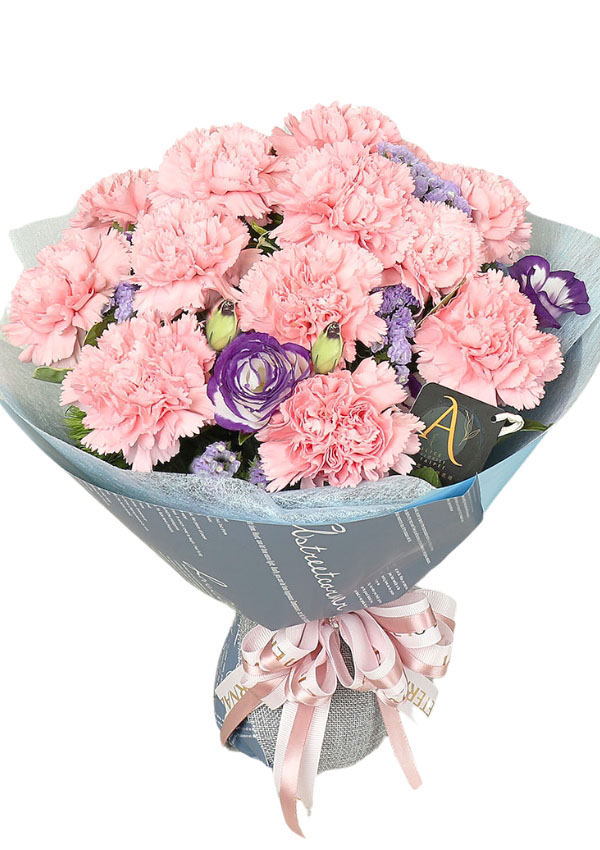 Mother´s Day imported Carnation,Kind mother