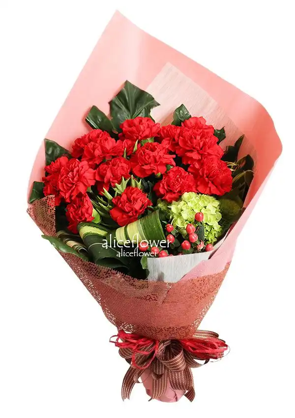 @[Hand wrapped bouquet],Love Red Carnation Bouquet