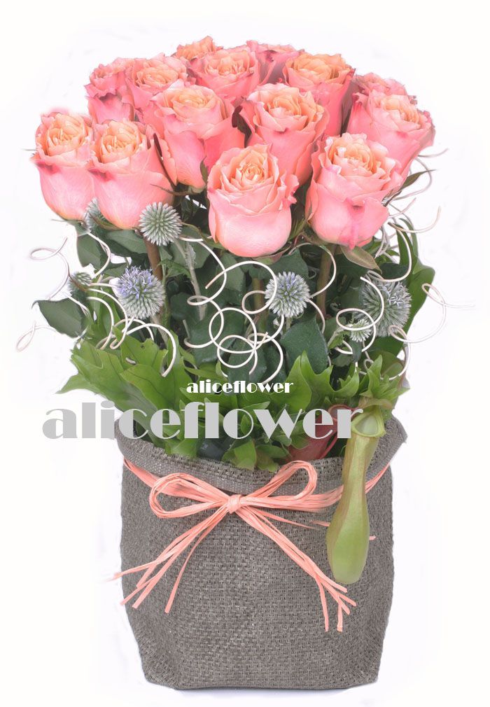 Imported Rose Arranged,Delice Des Fleurs