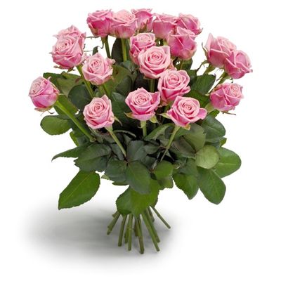 荷蘭,情人節粉色玫瑰花束
