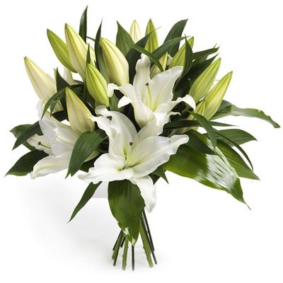 Netherlands,lILY BOUQUET