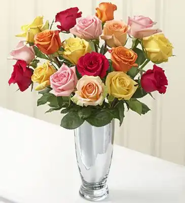 印度,情人節玫瑰花束24朵