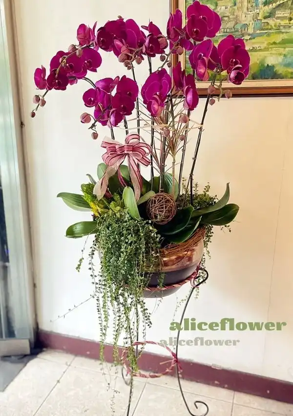 @[Anniversary Flowers],Classic orchid