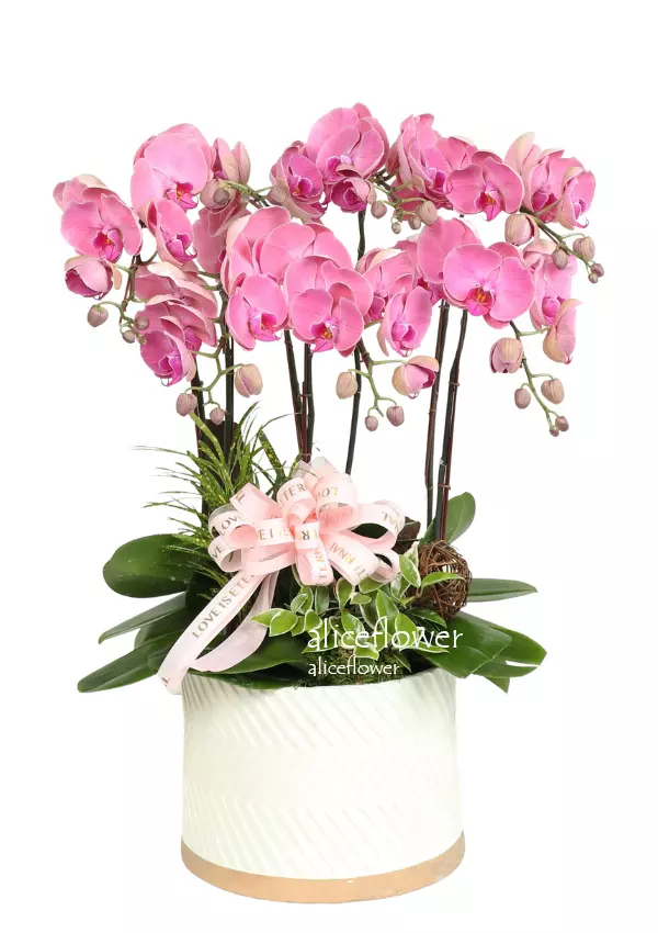 Father’s Day Orchid-Vase-Fun Colors Orchid
,Alice Florist Taipei, Taiwan.