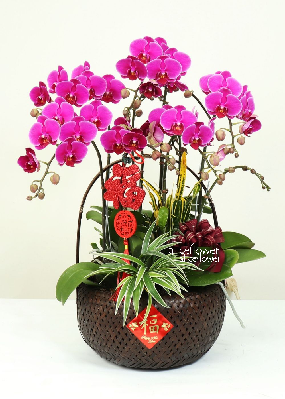 新年春節花禮,歡喜賀歲蘭花組合盆栽
